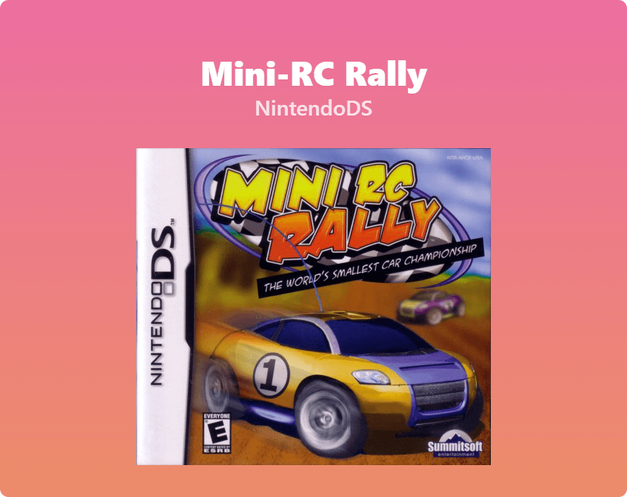 Mini RC Rally
